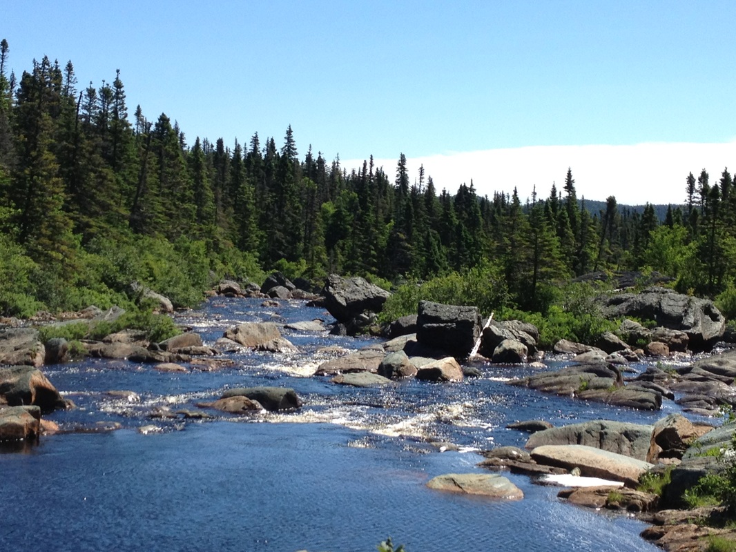 Monday Hike - My Summer in Newfoundland